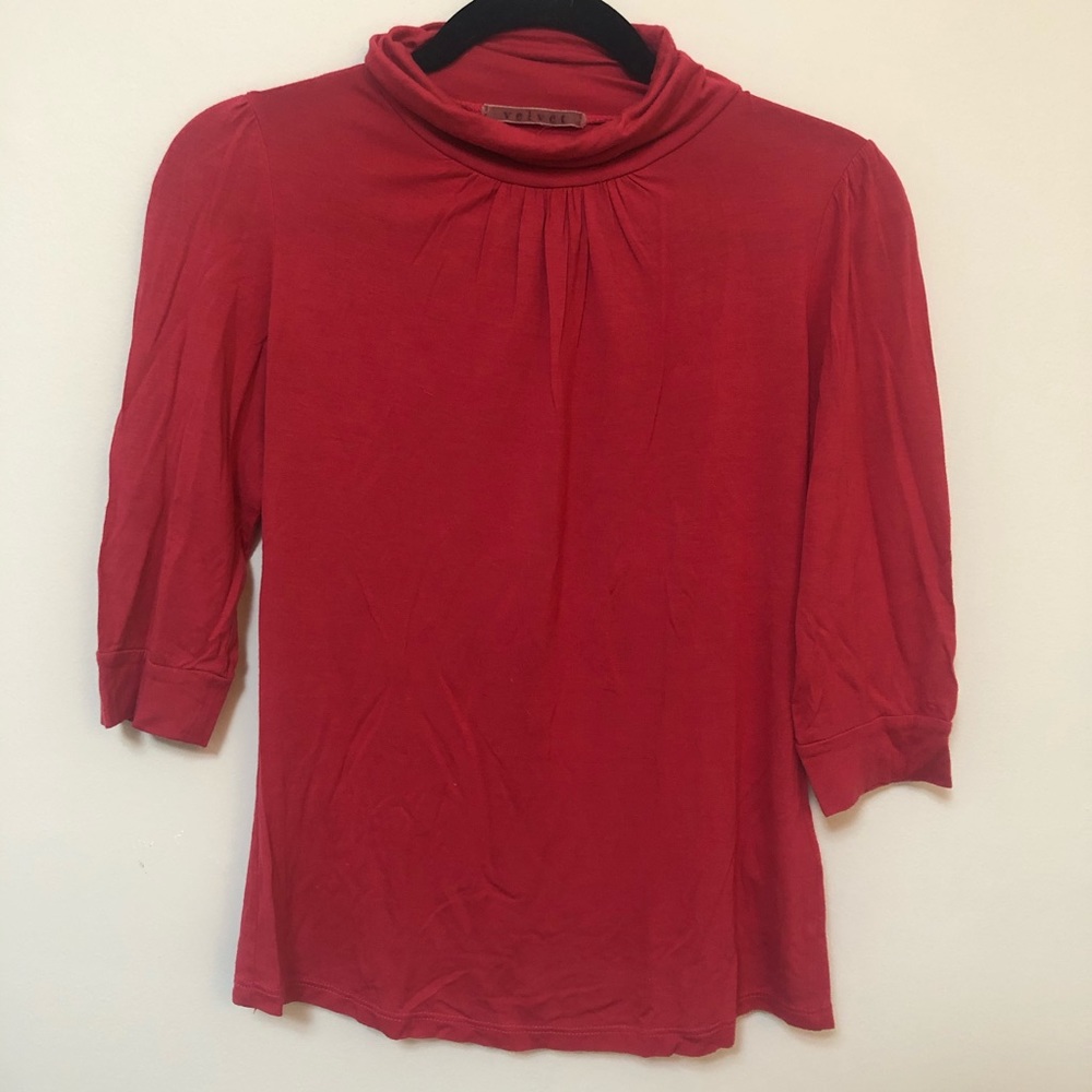 Velvet Mock Turtle Neck